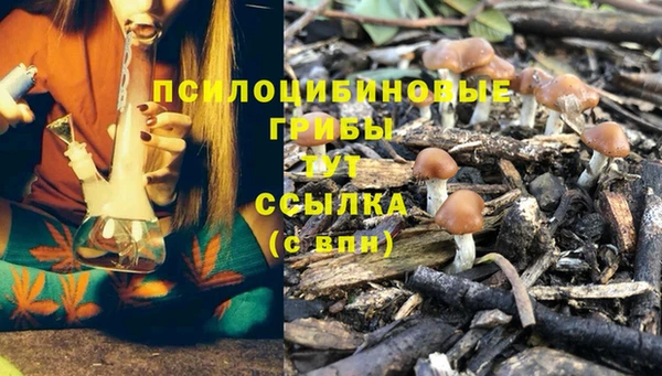 mix Арсеньев